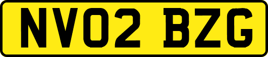 NV02BZG
