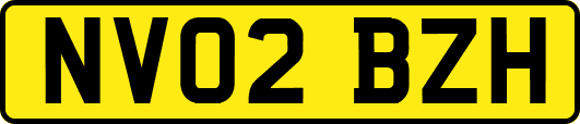 NV02BZH
