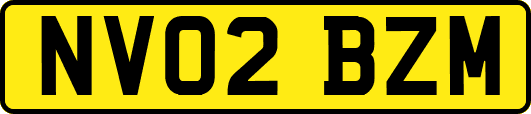 NV02BZM