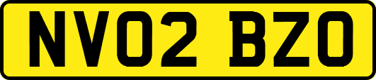 NV02BZO