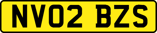 NV02BZS