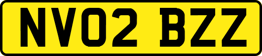 NV02BZZ