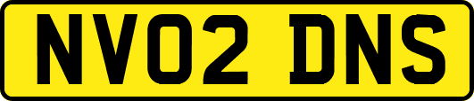 NV02DNS