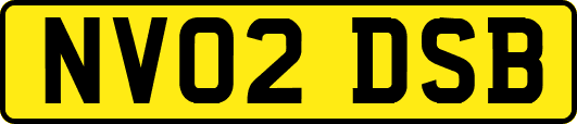 NV02DSB