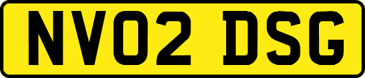 NV02DSG