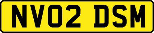 NV02DSM