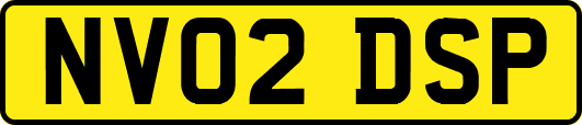 NV02DSP