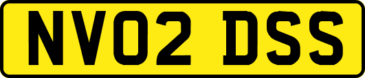 NV02DSS