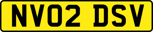 NV02DSV