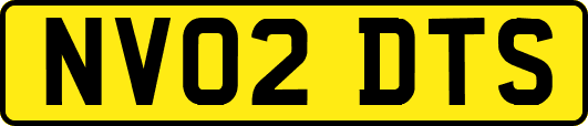 NV02DTS