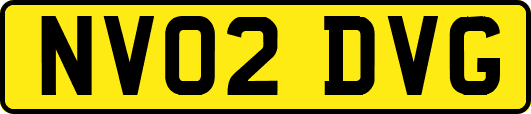 NV02DVG