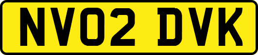 NV02DVK