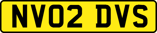 NV02DVS