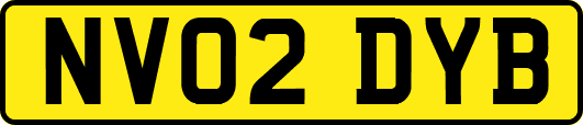 NV02DYB