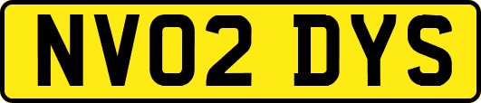NV02DYS