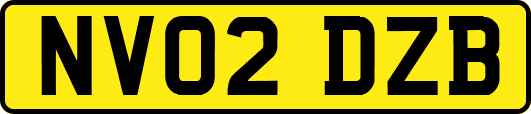 NV02DZB