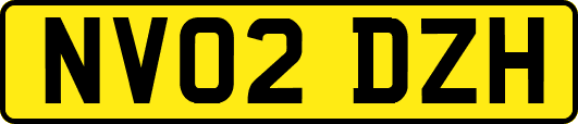 NV02DZH