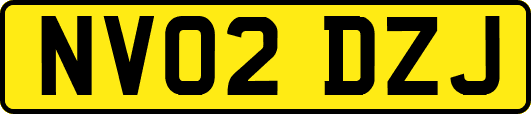 NV02DZJ