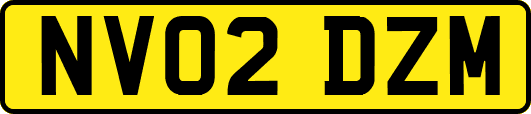 NV02DZM