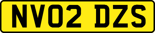 NV02DZS
