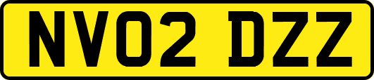 NV02DZZ