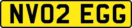 NV02EGG