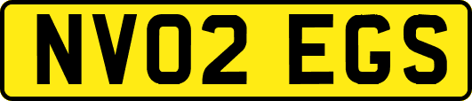 NV02EGS