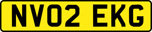 NV02EKG