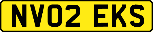 NV02EKS