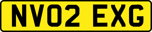 NV02EXG