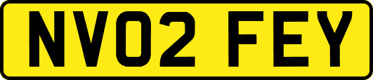 NV02FEY