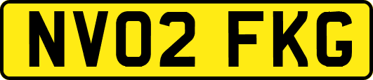NV02FKG