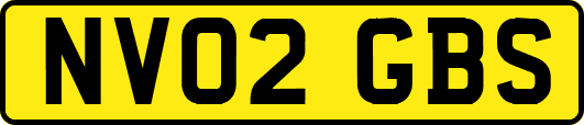 NV02GBS