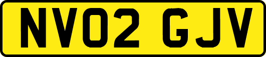 NV02GJV