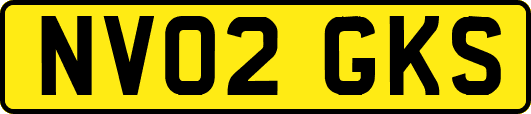 NV02GKS