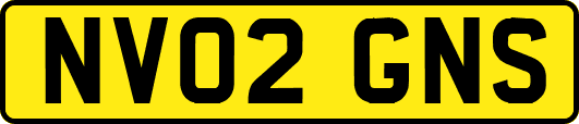 NV02GNS