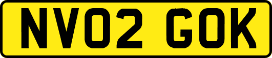 NV02GOK
