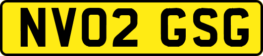 NV02GSG