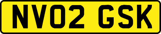 NV02GSK