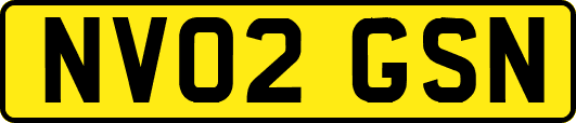 NV02GSN