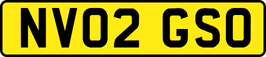 NV02GSO