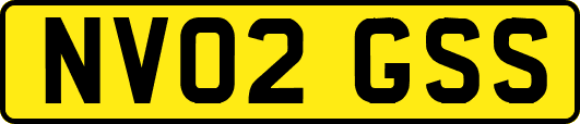 NV02GSS