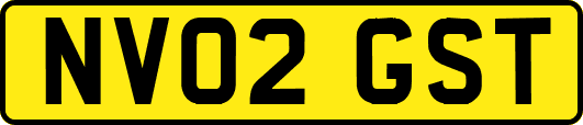 NV02GST