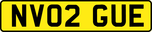 NV02GUE