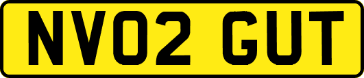 NV02GUT
