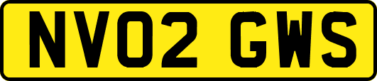 NV02GWS