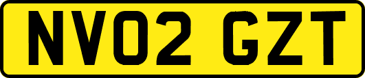 NV02GZT