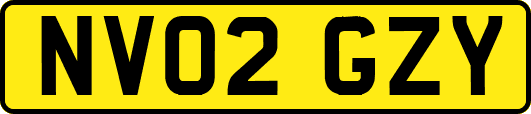 NV02GZY