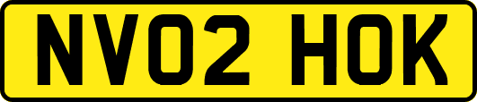 NV02HOK