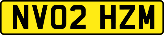 NV02HZM